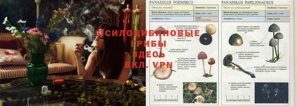 МДПВ Нязепетровск