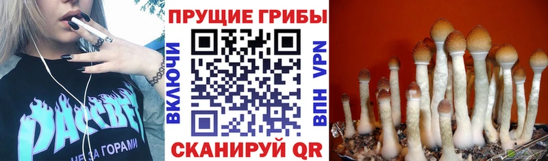 Псилоцибиновые грибы мухоморы  Сарапул 
